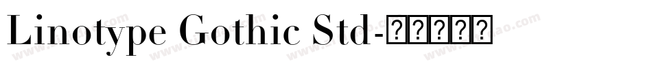 Linotype Gothic Std字体转换